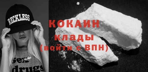 бошки Белокуриха