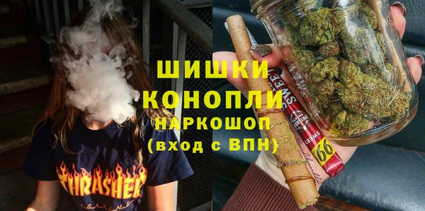 бошки Белокуриха