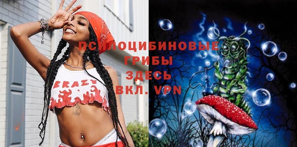 трава Беломорск