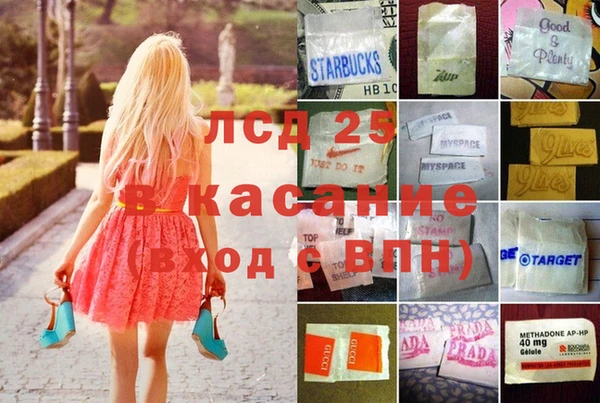 трава Беломорск
