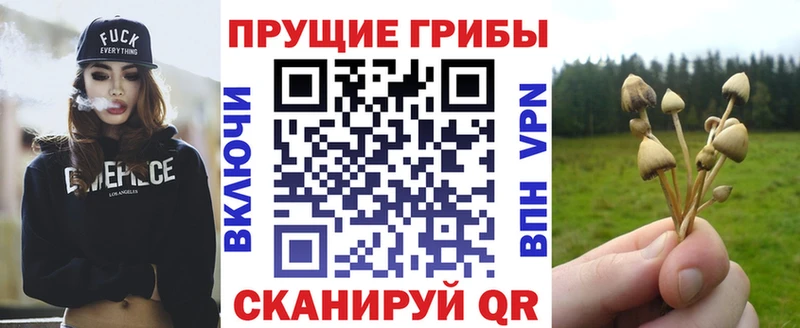 Псилоцибиновые грибы MAGIC MUSHROOMS  Очёр 